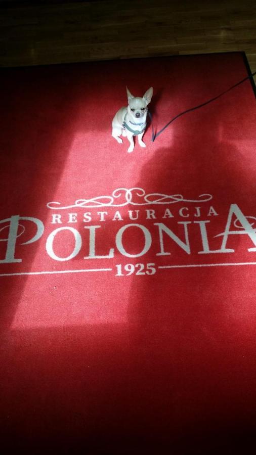 Hotelik Polonia Łowicz 외부 사진
